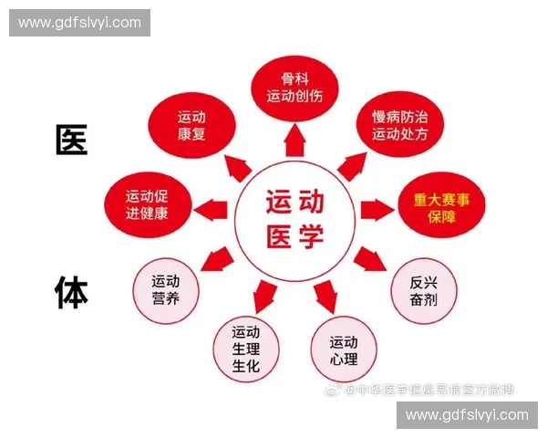 运动医学视角下的运动损伤预防与康复策略研究及其应用实践